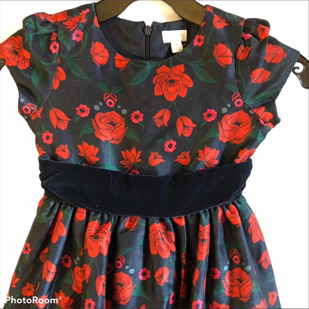 NWT Gymboree Red Black & Green Floral Party Dress / Size 4